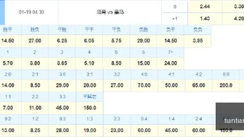 西篮甲对决半岛体育app：毕尔包曼雷萨战绩分析终极指南